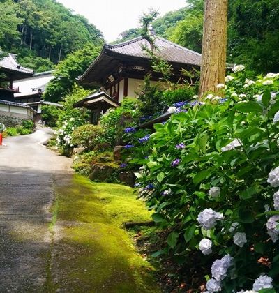 2ページ目 静岡 焼津市で人気の一日ぶらぶらできるおすすめ観光地5選 おすすめ旅行を探すならトラベルブック Travelbook 2ページ目 静岡 焼津市で人気の一日ぶらぶらできるおすすめ観光地5選 おすすめ旅行を探すならトラベルブック Travelbook