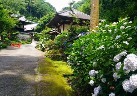 静岡 焼津市で人気の一日ぶらぶらできるおすすめ観光地5選 おすすめ旅行を探すならトラベルブック Travelbook 静岡 焼津市で人気の一日ぶらぶらできるおすすめ観光地5選 おすすめ旅行を探すならトラベルブック Travelbook