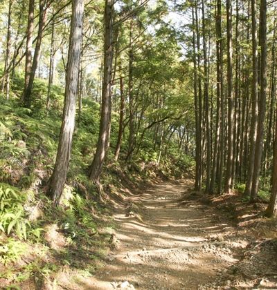 中部 トレーニング登山が充実 名古屋発で気軽に行ける日帰り登山ツアー7選 おすすめ旅行を探すならトラベルブック Travelbook 中部 トレーニング登山が充実 名古屋発で気軽に行ける日帰り登山ツアー7選 おすすめ旅行を探すならトラベルブック Travelbook