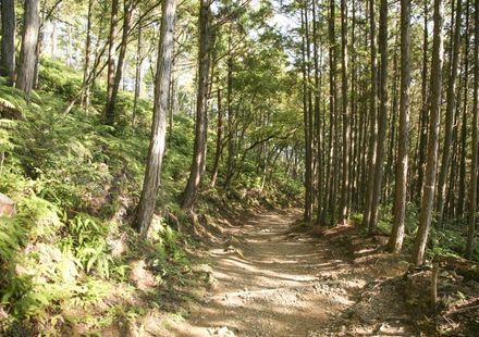 中部 トレーニング登山が充実 名古屋発で気軽に行ける日帰り登山ツアー7選 おすすめ旅行を探すならトラベルブック Travelbook 中部 トレーニング登山が充実 名古屋発で気軽に行ける日帰り登山ツアー7選 おすすめ旅行を探すならトラベルブック Travelbook
