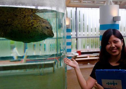 京都観光で忘れちゃいけない京都水族館とは 人気の見どころまとめ おすすめ旅行を探すならトラベルブック Travelbook 京都観光で忘れちゃいけない京都水族館とは 人気の見どころまとめ おすすめ旅行を探すならトラベルブック Travelbook