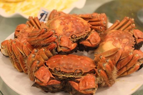 上海 上海蟹を様々な料理で味わせてくれる専門店4選 おすすめ旅行を探すならトラベルブック Travelbook 上海 上海蟹を様々な料理で味わせてくれる専門店4選 おすすめ旅行を探すならトラベルブック Travelbook