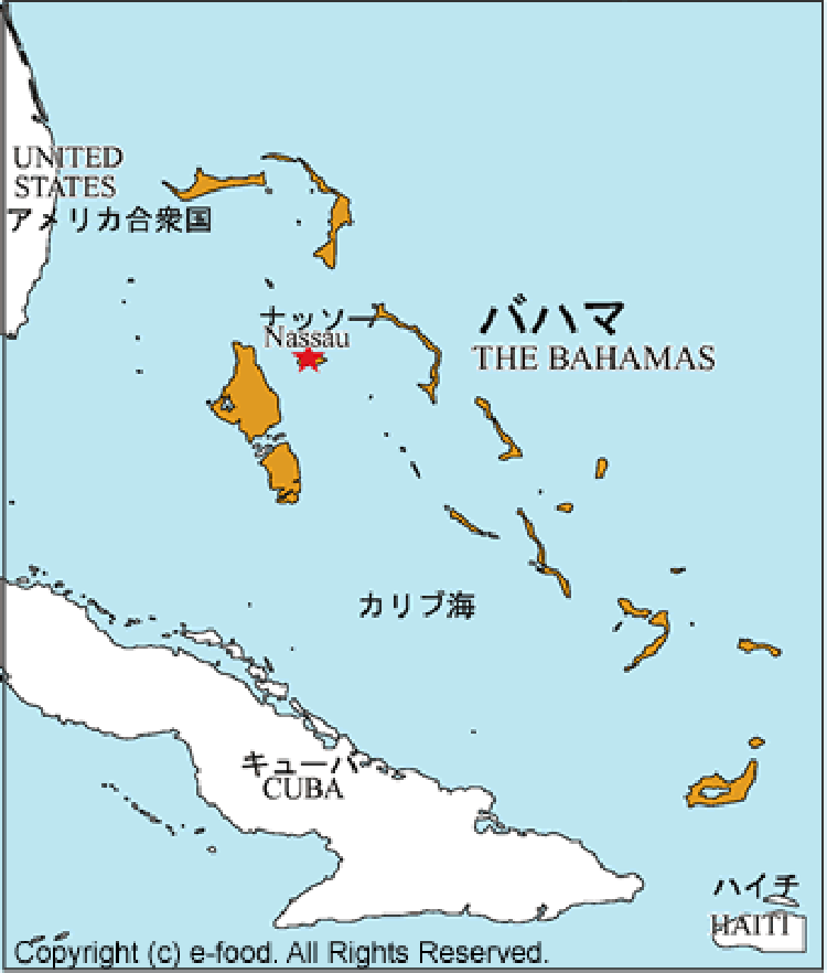 バハマ 浅瀬や砂浜で豚と遭遇 知られざる 豚の島 って おすすめ旅行を探すならトラベルブック Travelbook