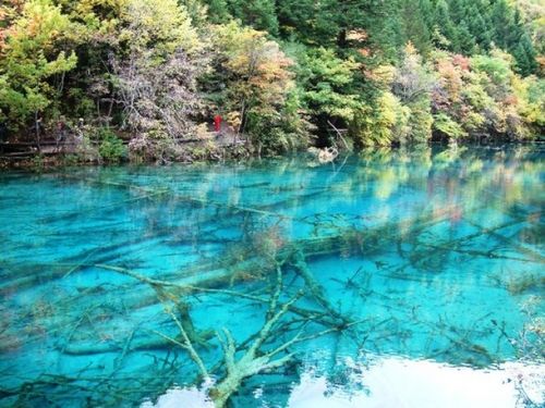 中国 九寨溝の観光ガイド 吸い込まれるようなエメラルドグリーンの絶景に浸る おすすめ旅行を探すならトラベルブック Travelbook