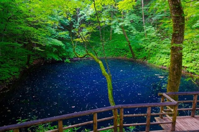 【青森】世界遺産「白神山地」観光で押さえておくべきポイントまとめ - おすすめ旅行を探すならトラベルブック(TravelBook)
