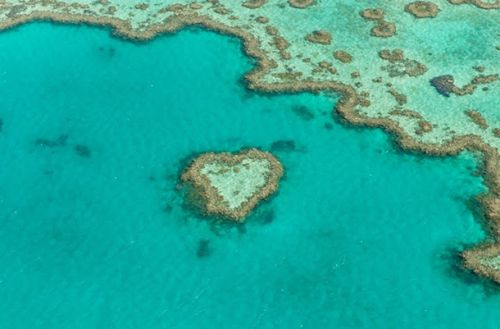オーストラリア 初めてのグレートバリアリーフ観光ガイド 見どころ 行き方まとめ おすすめ旅行を探すならトラベルブック Travelbook オーストラリア 初めてのグレートバリアリーフ観光ガイド 見どころ 行き方まとめ おすすめ旅行を探すならトラベルブック Travelbook