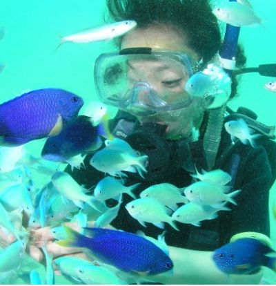 グアム 海でイルカと遊べるおすすめのオプショナルツアー5選 おすすめ旅行を探すならトラベルブック Travelbook