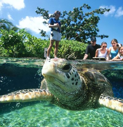 ハワイ ワイキキやホノルルから日帰りok マウイ島おすすめ現地観光ツアー5選 おすすめ旅行を探すならトラベルブック Travelbook ハワイ ワイキキやホノルルから日帰りok マウイ島おすすめ現地観光ツアー5選 おすすめ旅行を探すならトラベルブック Travelbook