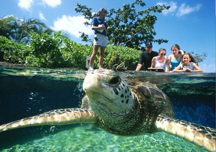 ハワイ ワイキキやホノルルから日帰りok マウイ島おすすめ現地観光ツアー5選 おすすめ旅行を探すならトラベルブック Travelbook ハワイ ワイキキやホノルルから日帰りok マウイ島おすすめ現地観光ツアー5選 おすすめ旅行を探すならトラベルブック Travelbook