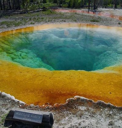 アメリカ 世界自然遺産第1号 イエローストーン国立公園で壮大な自然を体感 おすすめ旅行を探すならトラベルブック Travelbook アメリカ 世界自然遺産第1号 イエローストーン国立公園で壮大な自然を体感 おすすめ旅行を探すならトラベルブック Travelbook
