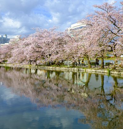 上野周辺のおすすめカプセルホテル選 女性人気が高い格安宿もご紹介 おすすめ旅行を探すならトラベルブック Travelbook 上野周辺のおすすめカプセルホテル選 女性人気が高い格安宿もご紹介 おすすめ旅行を探すならトラベルブック Travelbook