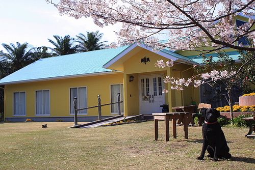 東京都 大島で宿泊したいおすすめの民宿4選 おすすめ旅行を探すならトラベルブック Travelbook