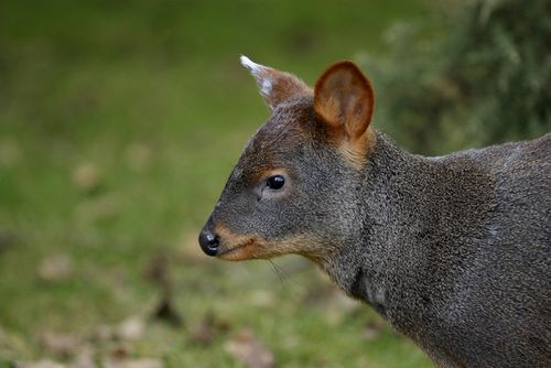 世界遺産 ロス グラシアレス国立公園 ドンと崩れ落ちる大河が必見 アルゼンチンで外せない観光名所 おすすめ旅行を探すならトラベルブック Travelbook 世界遺産 ロス グラシアレス国立公園 ドンと崩れ落ちる大河が必見 アルゼンチンで外せない観光名所 おすすめ旅行を探すならトラベルブック Travelbook