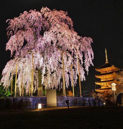 京都で行きたいおすすめの夜景スポット20選 おすすめ旅行を探すならトラベルブック Travelbook 京都で行きたいおすすめの夜景スポット20選 おすすめ旅行を探すならトラベルブック Travelbook