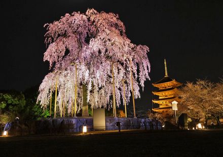 京都で行きたいおすすめの夜景スポット20選 おすすめ旅行を探すならトラベルブック Travelbook 京都で行きたいおすすめの夜景スポット20選 おすすめ旅行を探すならトラベルブック Travelbook