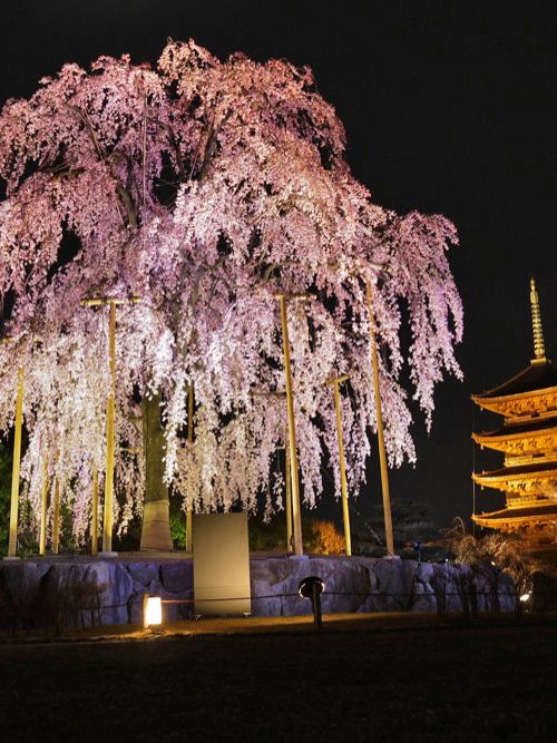 京都で行きたいおすすめの夜景スポット20選 おすすめ旅行を探すならトラベルブック Travelbook