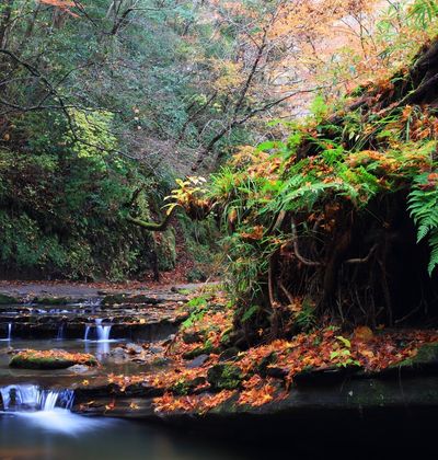 千葉観光でおすすめ観光スポット25 名所観光地一覧 おすすめ旅行を探すならトラベルブック Travelbook 千葉観光でおすすめ観光スポット25 名所観光地一覧 おすすめ旅行を探すならトラベルブック Travelbook