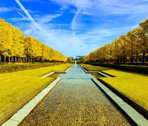 東京 立川のおすすめホテル10選 安いのに快適な宿をご紹介 おすすめ旅行を探すならトラベルブック Travelbook