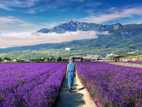北海道 富良野のおすすめホテルランキング15選 子連れにも人気の宿をご紹介 おすすめ旅行を探すならトラベルブック Travelbook
