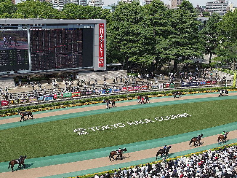 東京競馬場:G1開催数日本一の! 開催レースu0026施設特徴を徹底解説