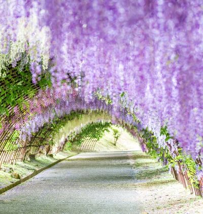 福岡 福岡のおしゃれ観光スポットでインスタ映えを狙うばい おすすめ旅行を探すならトラベルブック女子旅 福岡 福岡のおしゃれ観光スポットでインスタ映えを狙うばい おすすめ旅行を探すならトラベルブック女子旅