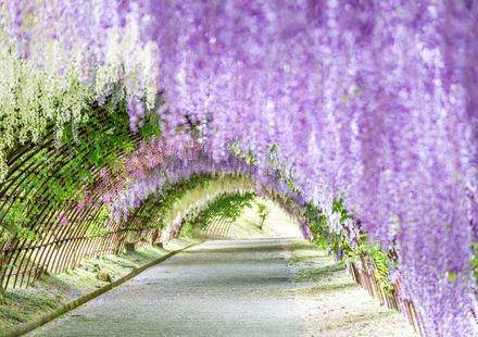 2ページ目 福岡 福岡のおしゃれ観光スポットでインスタ映えを狙うばい おすすめ旅行を探すならトラベルブック女子旅 2ページ目 福岡 福岡のおしゃれ観光スポットでインスタ映えを狙うばい おすすめ旅行を探すならトラベルブック女子旅