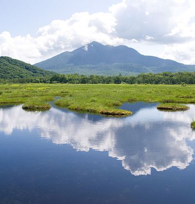 尾瀬観光の魅力 貴重植物の宝庫 特別な世界が広がるハイキングの名所 おすすめ旅行を探すならトラベルブック Travelbook 尾瀬観光の魅力 貴重植物の宝庫 特別な世界が広がるハイキングの名所 おすすめ旅行を探すならトラベルブック Travelbook
