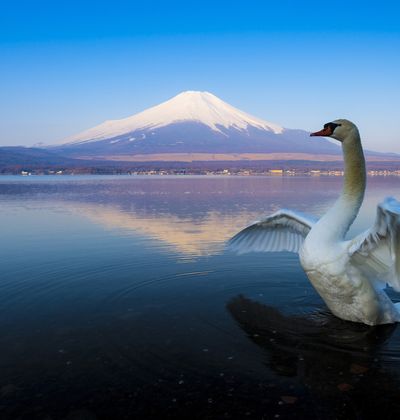 世界遺産 富士五湖 観光 本栖湖 精進湖 西湖 河口湖 山中湖情報まとめ おすすめ旅行を探すならトラベルブック Travelbook 世界遺産 富士五湖 観光 本栖湖 精進湖 西湖 河口湖 山中湖情報まとめ おすすめ旅行を探すならトラベルブック Travelbook