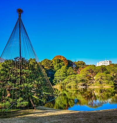 年版東京 12月が見頃の冬の花と 花の名所まとめ 紅葉 冬桜 雪吊りほか おすすめ旅行を探すならトラベルブック Travelbook 年版東京 12月が見頃の冬の花と 花の名所まとめ 紅葉 冬桜 雪吊りほか おすすめ旅行を探すならトラベルブック Travelbook