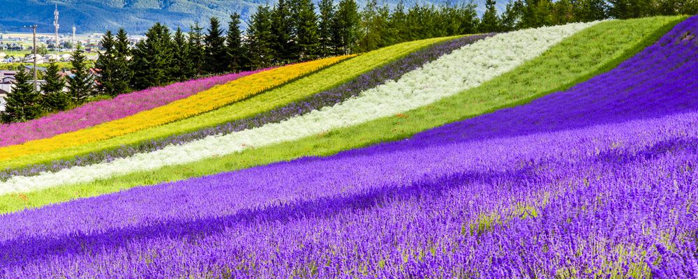 北海道旅行 北海道ツアー おすすめツアーランキング 北海道旅行 北海道ツアー おすすめツアーランキング