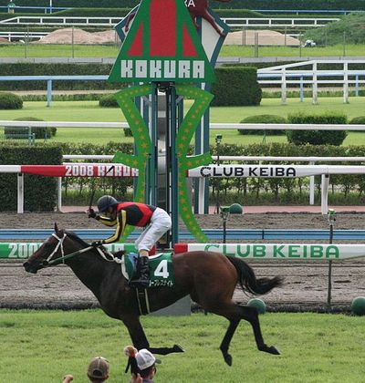 小倉競馬場 馬と九州の魅力を小倉から世界に発信する中央の戦場 おすすめ旅行を探すならトラベルブック Travelbook 小倉競馬場 馬と九州の魅力を小倉から世界に発信する中央の戦場 おすすめ旅行を探すならトラベルブック Travelbook