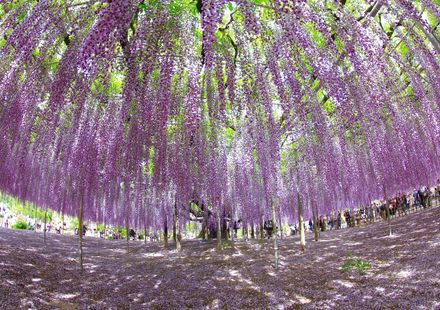 栃木で何度でも訪れたい定番観光地15選 おすすめ旅行を探すならトラベルブック Travelbook 栃木で何度でも訪れたい定番観光地15選 おすすめ旅行を探すならトラベルブック Travelbook