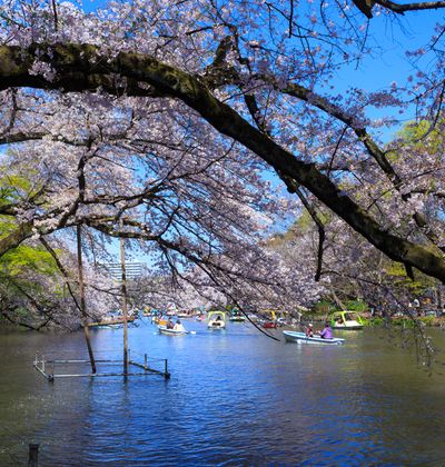 吉祥寺 吉祥寺のおすすめデートスポット30選 おすすめ旅行を探すならトラベルブック Travelbook 吉祥寺 吉祥寺のおすすめデートスポット30選 おすすめ旅行を探すならトラベルブック Travelbook
