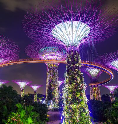 シンガポール 夜の街 シンガポール 夜の街 シンガポール 夜の街 シンガポール 夜の街