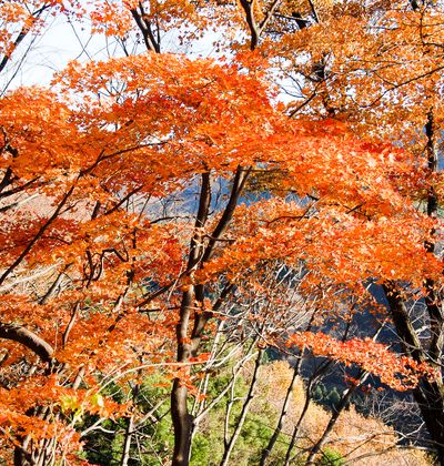 年版 群馬でおすすめの紅葉スポット 見頃の時期を紹介 おすすめ旅行を探すならトラベルブック Travelbook 年版 群馬でおすすめの紅葉スポット 見頃の時期を紹介 おすすめ旅行を探すならトラベルブック Travelbook