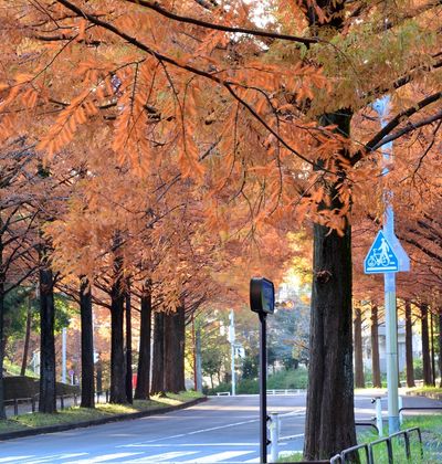 年版 滋賀でおすすめの紅葉スポット 見頃の時期を紹介 おすすめ旅行を探すならトラベルブック Travelbook 年版 滋賀でおすすめの紅葉スポット 見頃の時期を紹介 おすすめ旅行を探すならトラベルブック Travelbook