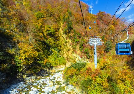 22年版 新潟でおすすめの紅葉スポット 見頃の時期を紹介 おすすめ旅行を探すならトラベルブック Travelbook 22年版 新潟でおすすめの紅葉スポット 見頃の時期を紹介 おすすめ旅行を探すならトラベルブック Travelbook