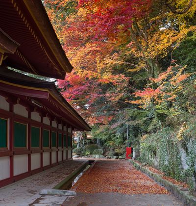 年版 福岡でおすすめの紅葉スポット 見頃の時期を紹介 おすすめ旅行を探すならトラベルブック Travelbook 年版 福岡でおすすめの紅葉スポット 見頃の時期を紹介 おすすめ旅行を探すならトラベルブック Travelbook