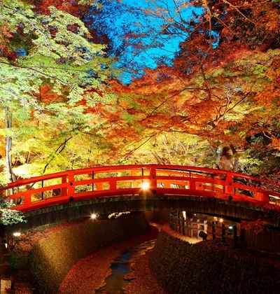 21年版 京都でおすすめの紅葉ライトアップスポット 見頃の時期を紹介 おすすめ旅行を探すならトラベルブック Travelbook 21年版 京都でおすすめの紅葉ライトアップスポット 見頃の時期を紹介 おすすめ旅行を探すならトラベルブック Travelbook