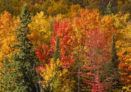 22年版 軽井沢でおすすめの紅葉スポット 見頃の時期を紹介 おすすめ旅行を探すならトラベルブック Travelbook 22年版 軽井沢でおすすめの紅葉スポット 見頃の時期を紹介 おすすめ旅行を探すならトラベルブック Travelbook