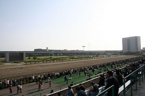 船橋競馬場 騎馬武者の伝統を持つ地で競走馬が躍動 レース コース アクセス詳細まとめ おすすめ旅行を探すならトラベルブック Travelbook