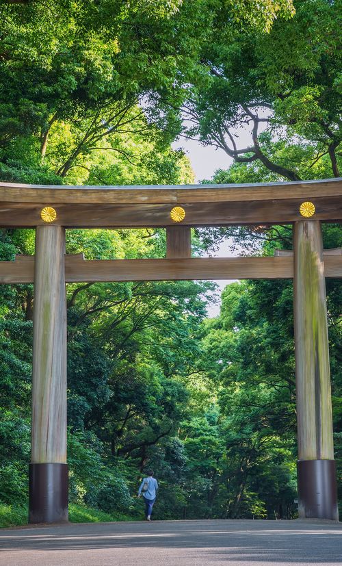気持ちよく新年を迎えよう 21年版 初詣におすすめの東京で人気 穴場の神社13選 おすすめ旅行を探すならトラベルブック Travelbook