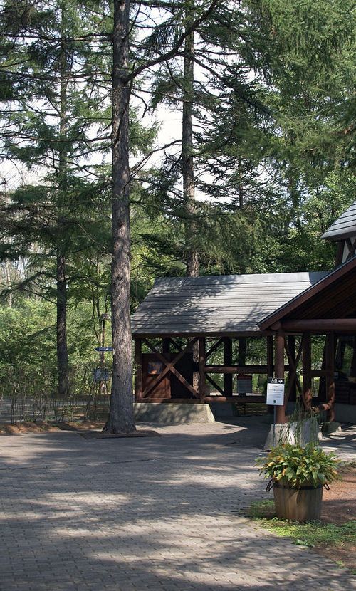 軽井沢のおすすめ美術館10施設 子連れに人気の絵本美術館も おすすめ旅行を探すならトラベルブック Travelbook