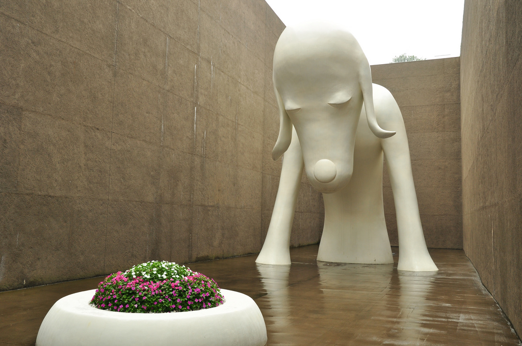 青森のおすすめ美術館６施設 地元の芸術家と現代アートに触れる おすすめ旅行を探すならトラベルブック Travelbook