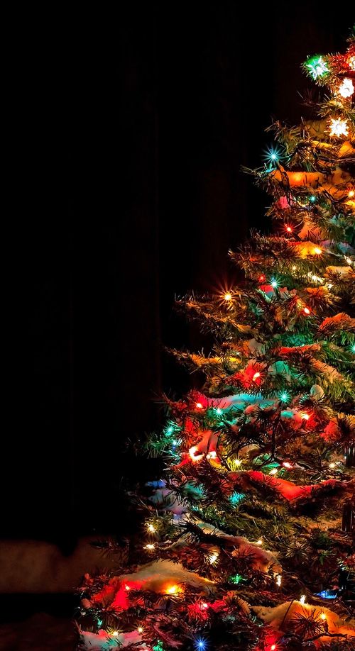 21年版 岡山のおすすめイルミネーション デートスポットに人気 おすすめ旅行を探すならトラベルブック女子旅