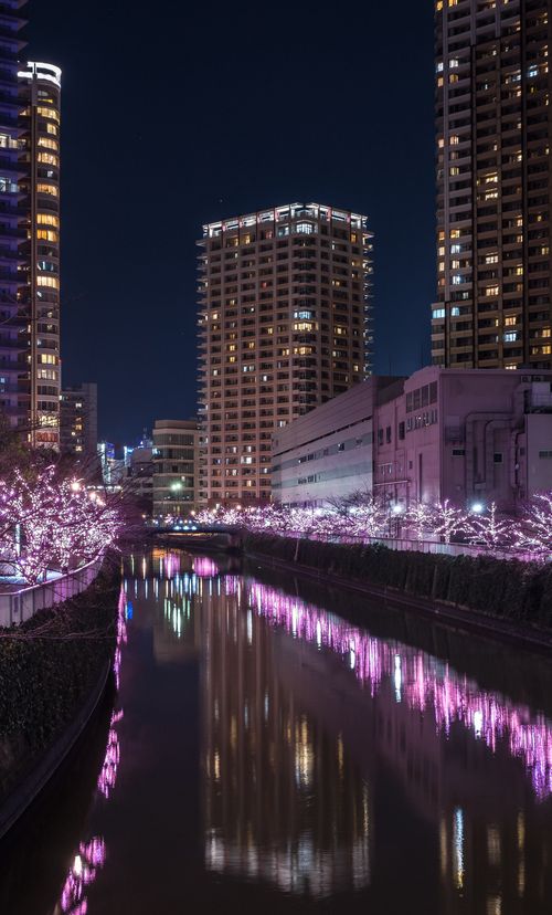 21年版 品川のおすすめイルミネーション デートスポットに人気 おすすめ旅行を探すならトラベルブック女子旅 21年版 品川のおすすめイルミネーション デートスポットに人気 おすすめ旅行を探すならトラベルブック女子旅