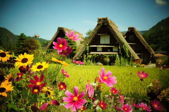 岐阜のおすすめデートスポット 素敵な1日を夜まで楽しもう おすすめ旅行を探すならトラベルブック女子旅