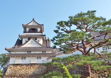 高知の旅館 カップルやファミリーで楽しめるこだわりの格安宿15選 おすすめ旅行を探すならトラベルブック Travelbook 高知の旅館 カップルやファミリーで楽しめるこだわりの格安宿15選 おすすめ旅行を探すならトラベルブック Travelbook