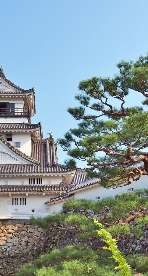 高知の旅館 カップルやファミリーで楽しめるこだわりの格安宿15選 おすすめ旅行を探すならトラベルブック Travelbook