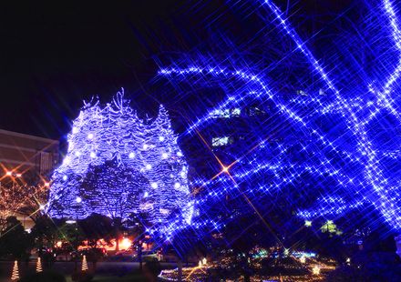 21 22年版 仙台のイルミネーション デートスポットに人気 おすすめ旅行を探すならトラベルブック女子旅 21 22年版 仙台のイルミネーション デートスポットに人気 おすすめ旅行を探すならトラベルブック女子旅